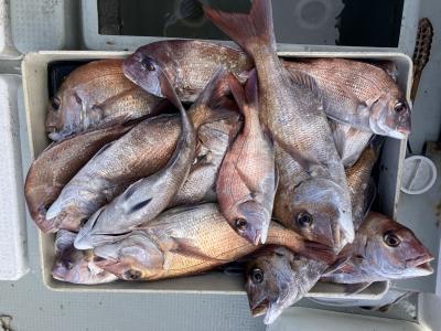 今シーズン最高の…