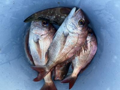 久しぶりの朝練