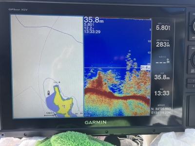 何で釣れないの???