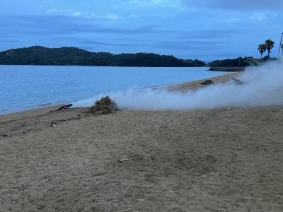 海水浴の実状